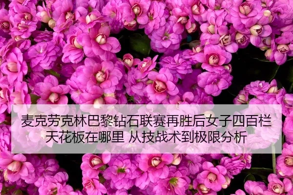 mai-ke-lao-ke-lin-ba-li-zuan-shi-lian-sai-zai-sheng-hou-nv-zi-si-bai-lan-tian-hua-ban-zai-na-li-cong-ji-zhan-shu-dao-ji-2-739.jpg