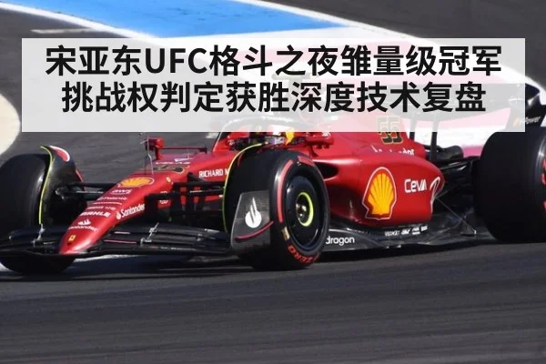 宋亚东UFC格斗之夜雏量级冠军挑战权判定获胜深度技术复盘
