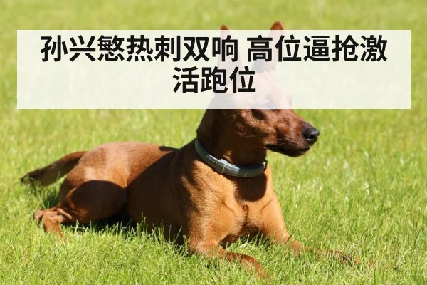 孙兴慜热刺双响 高位逼抢激活跑位