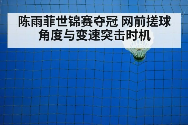 陈雨菲世锦赛夺冠 网前搓球角度与变速突击时机